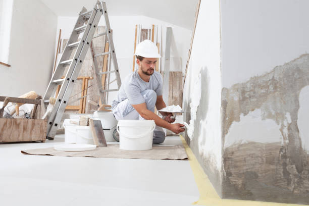 Best Eco-Friendly and Low-VOC Painting  in Kirtland Af, NM